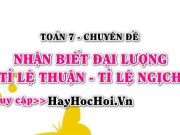 Cách nhận biết tỉ lệ thuận tỉ lệ nghịch, ví dụ minh họa Toán 7 (cực hay)